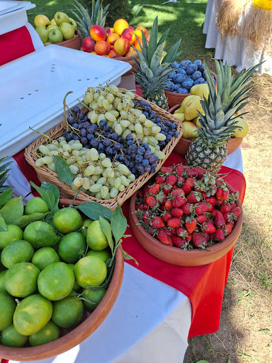 Gastro Saphir Resort & Spa