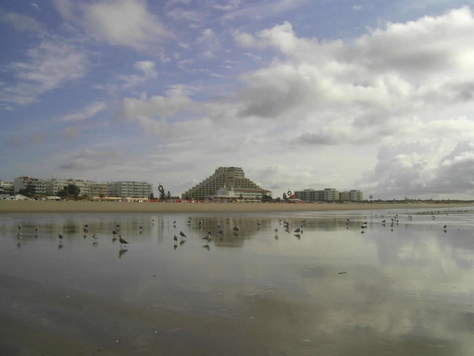 Möwen am Strand Hotel Yellow Praia Monte Gordo