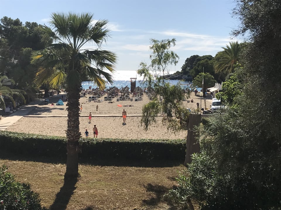 Strand Apartamentos Cala d'Or Playa