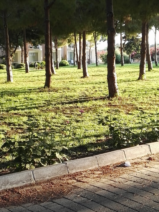 Gartenanlage Acapulco Beach Club & Resort