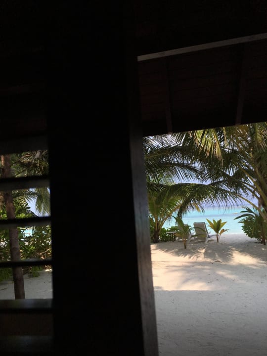 Superior Bungalow 366 Summer Island Maldives