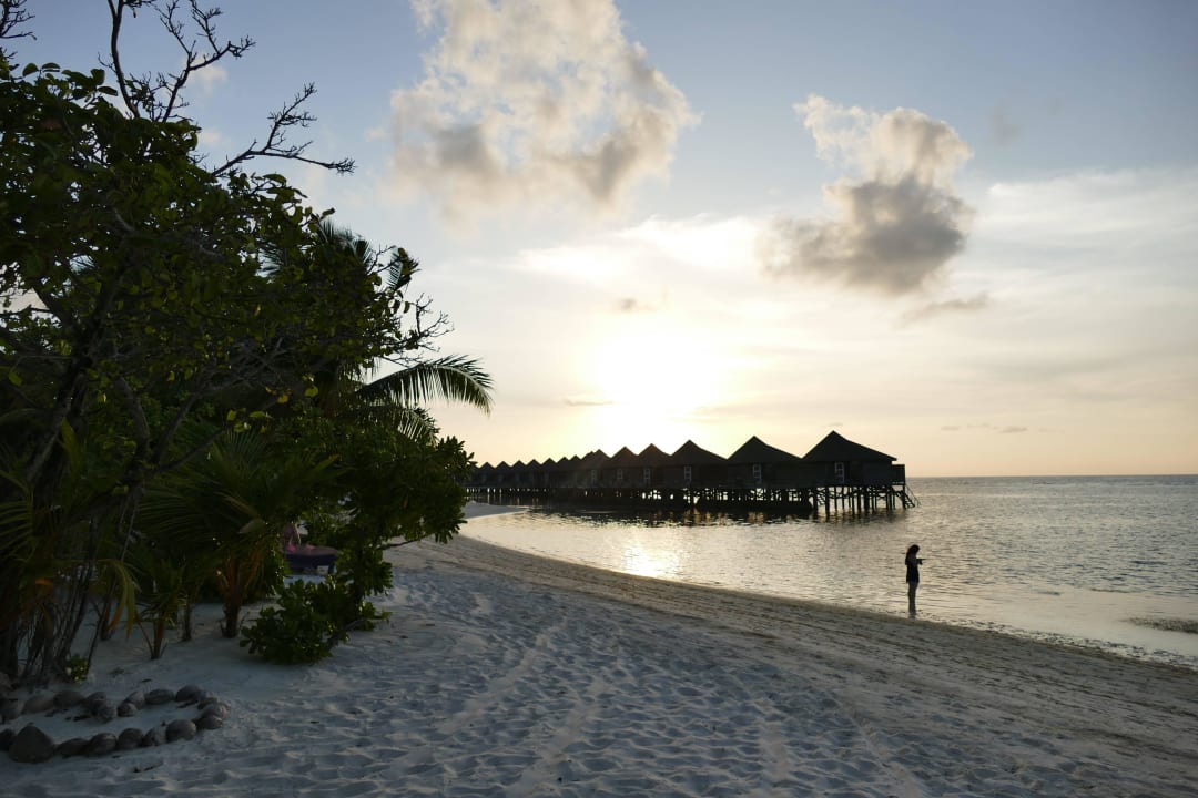 Unser Standabschnitt Kuredu Island Resort & Spa