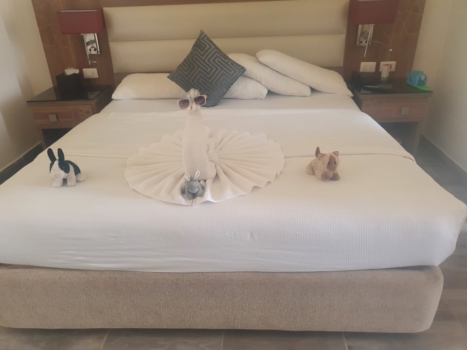 Zimmer Pickalbatros Aqua Park Resort - Sharm El Sheikh