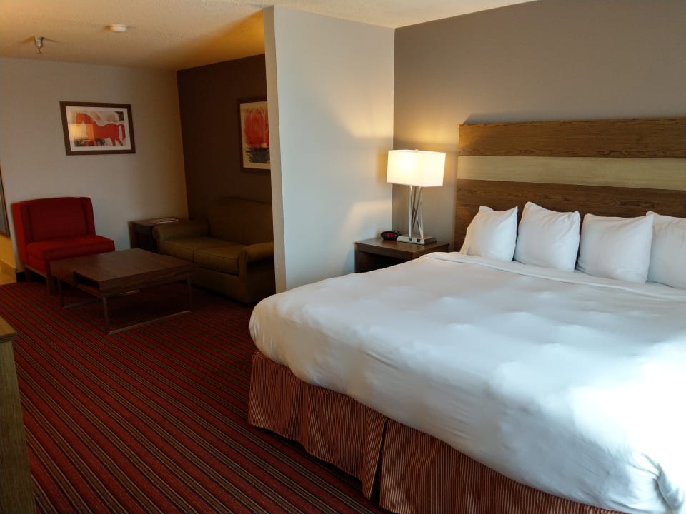 Zimmer Hotel Country Inn & Suites By Carlson, DFW-Airport South
