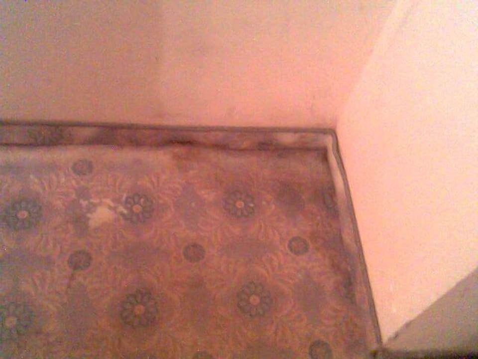 Schimmel im Flur des Hotels Andalucia Beach Hotel & Residence