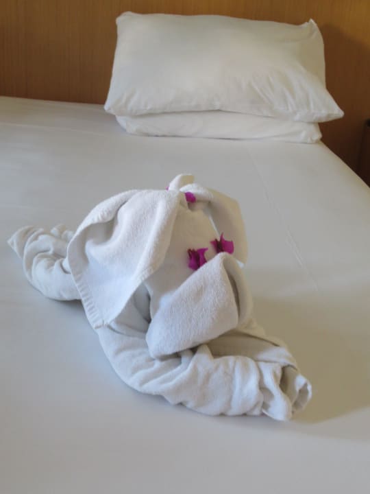 Hund im Zimmer Limak Limra Hotel & Resort