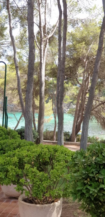 Ausblick Iberostar Waves Pinos Park