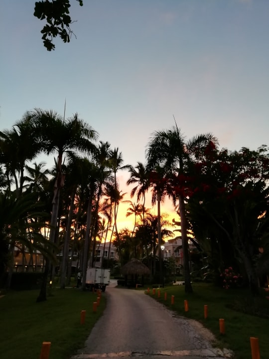 Gartenanlage Grand Palladium Punta Cana Resort & Spa