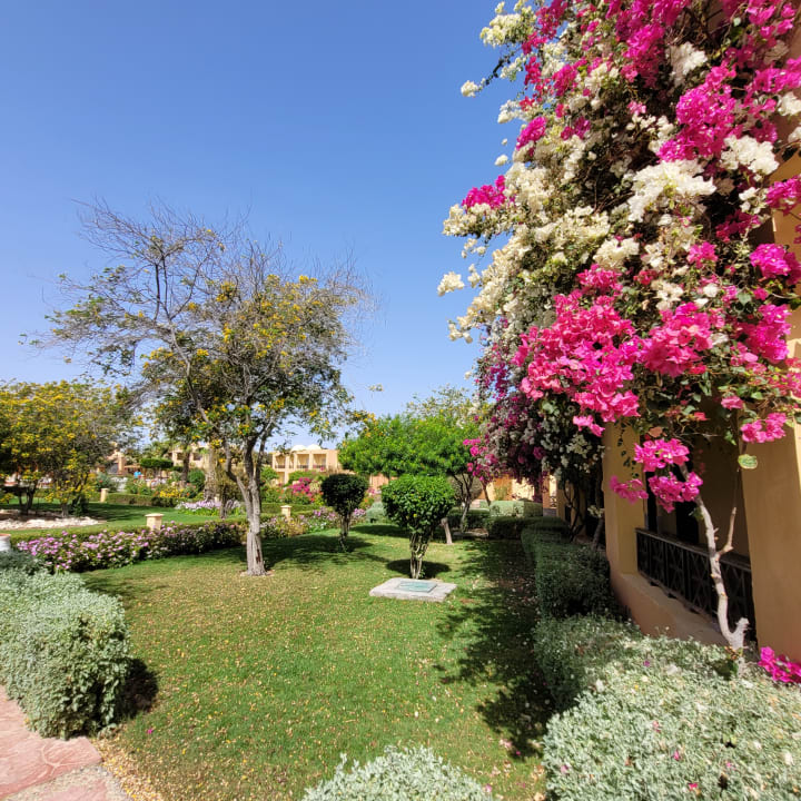 Gartenanlage Wadi Lahmy Azur Resort