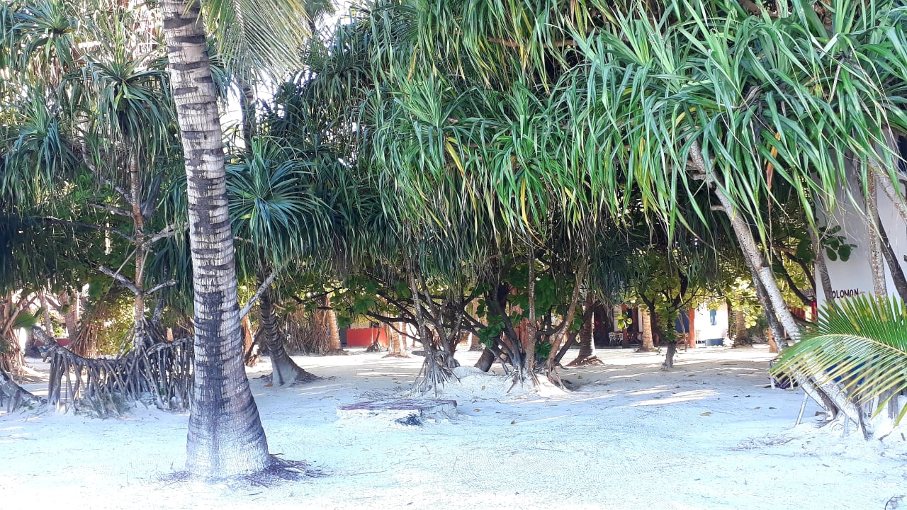 Gartenanlage Santa Maria Coral Park