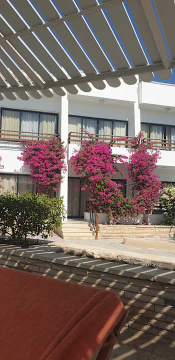 Pool The Grand Hotel Hurghada