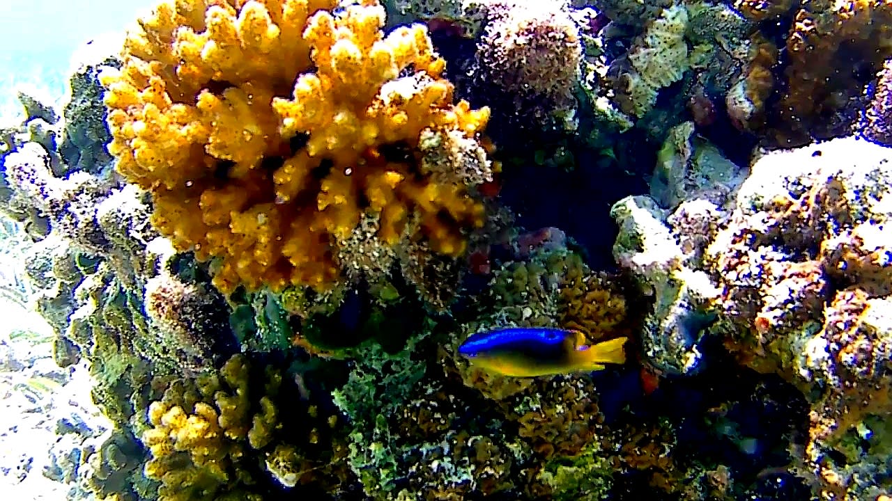 Sport & Freizeit Adaaran Select Hudhuran Fushi - Premium All Inclusive