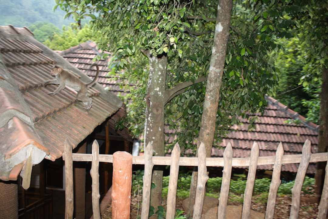 Hotelanlage Kurumba Village Resort