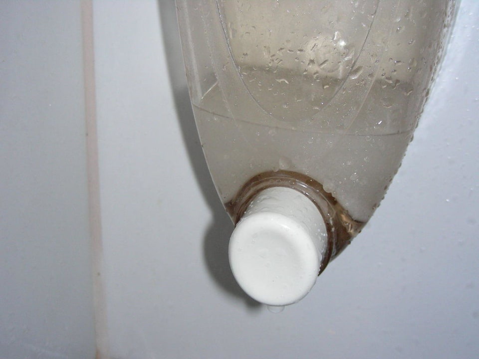 Duschgel AQI Pegasos World