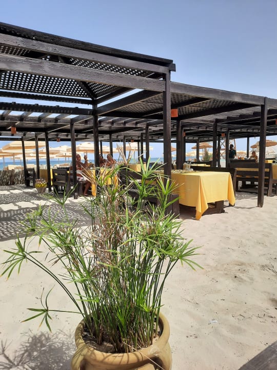 Gastro Aldiana Club Djerba Atlantide