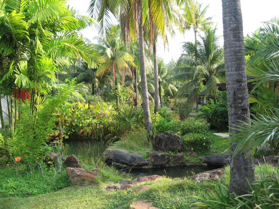 Üppige Vegetation ROBINSON KHAO LAK