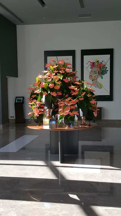 Lobby Acanthus Cennet Barut Collection