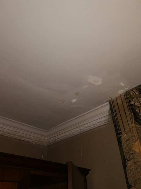 Zimmer Hotel The Colonnade