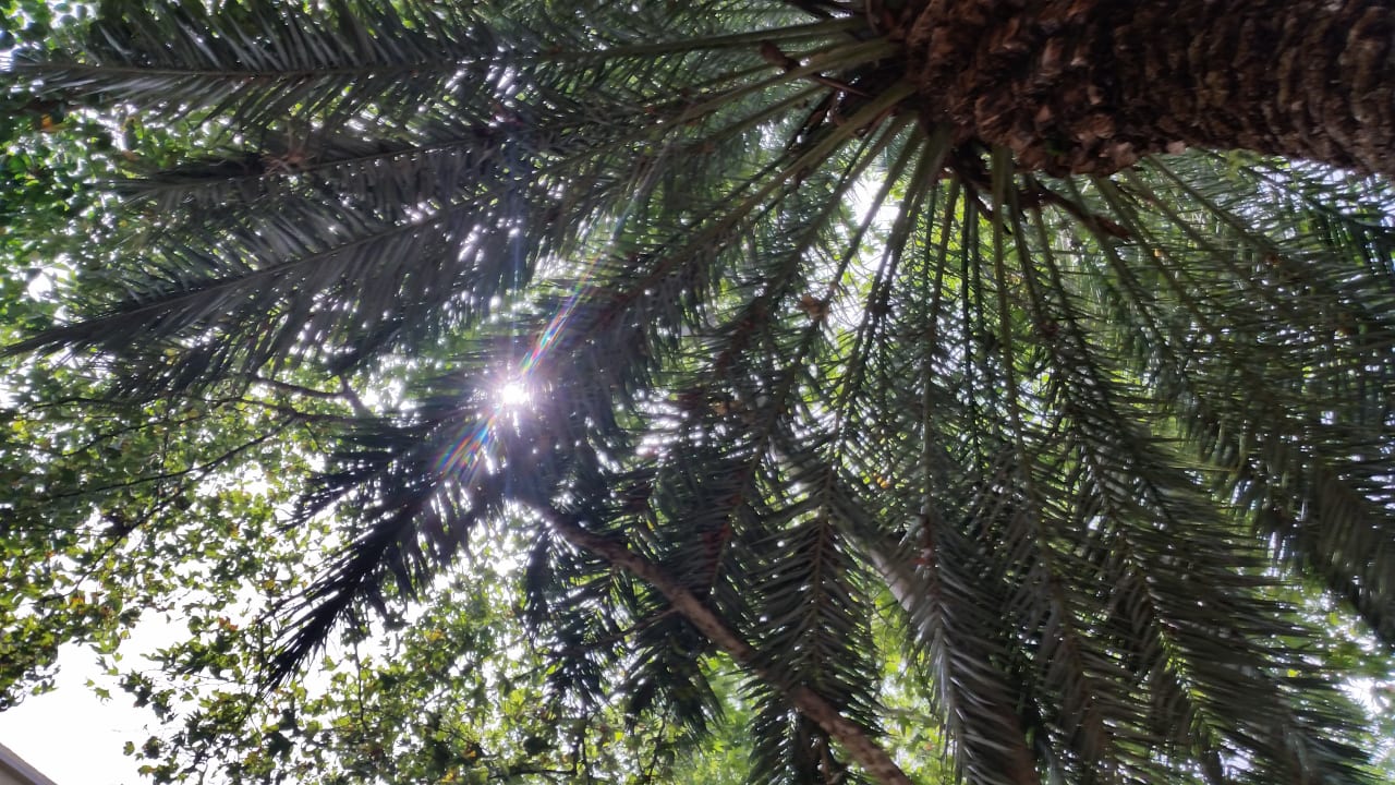 Gartenanlage Side Aquamarin Resort & Spa