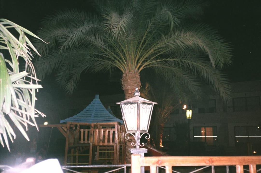 W nocy Aladdin Beach Resort