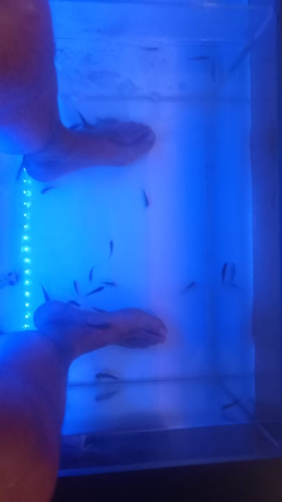 Sport & Freizeit Well Palace Side