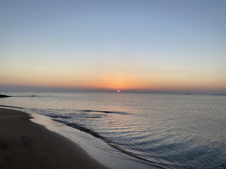 Strand Shams Prestige Abu Soma-Adults Only