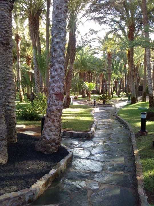 Lädt zum spazieren ein Hotel Riu Palace Oasis