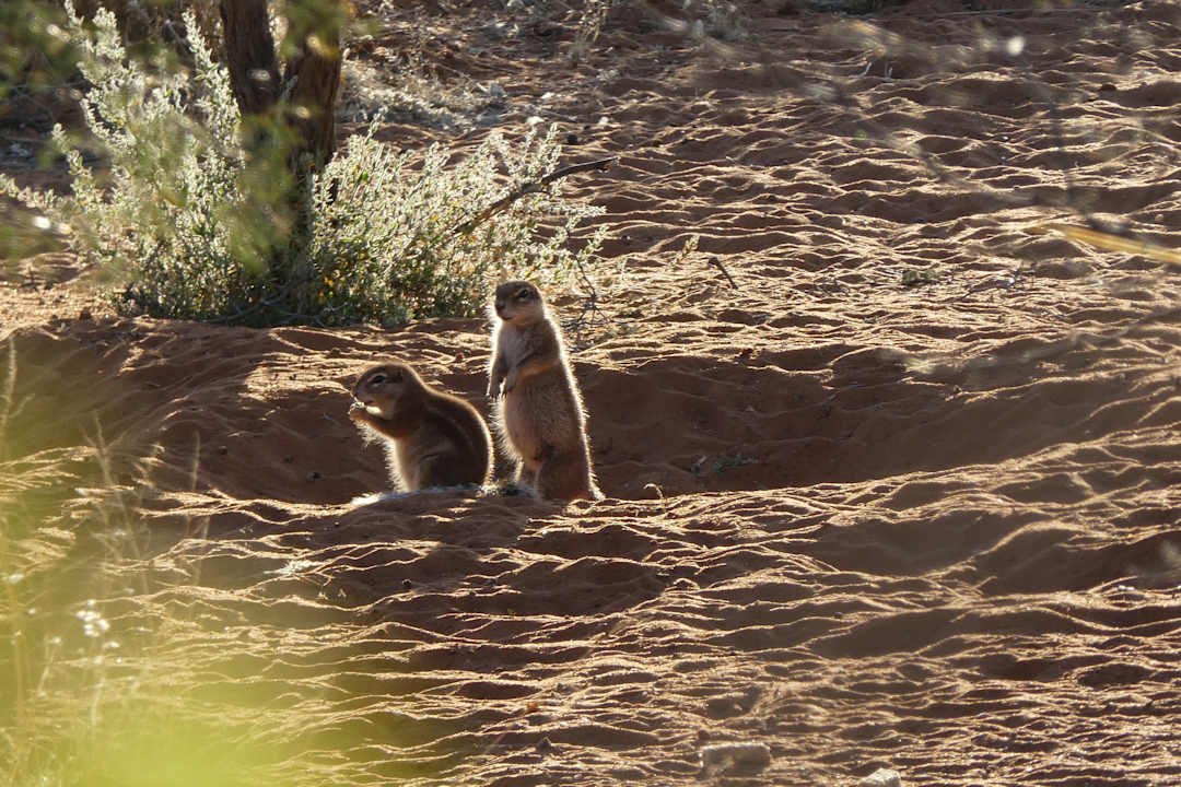 Ausblick Hotel Eningu Clay-House Lodge
