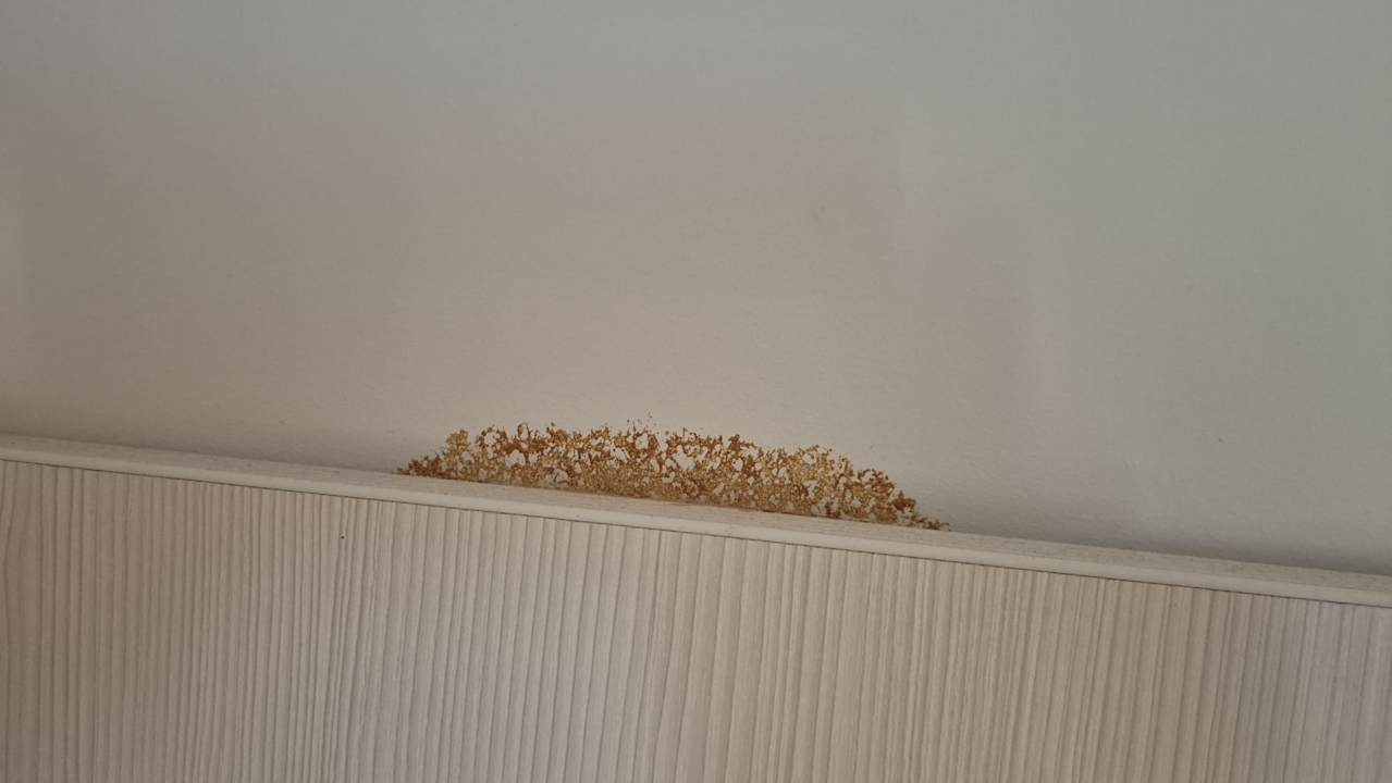 Zimmer Kaliakra Mare