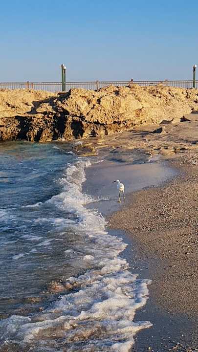 Strand Coral Hills Resorts & SPA