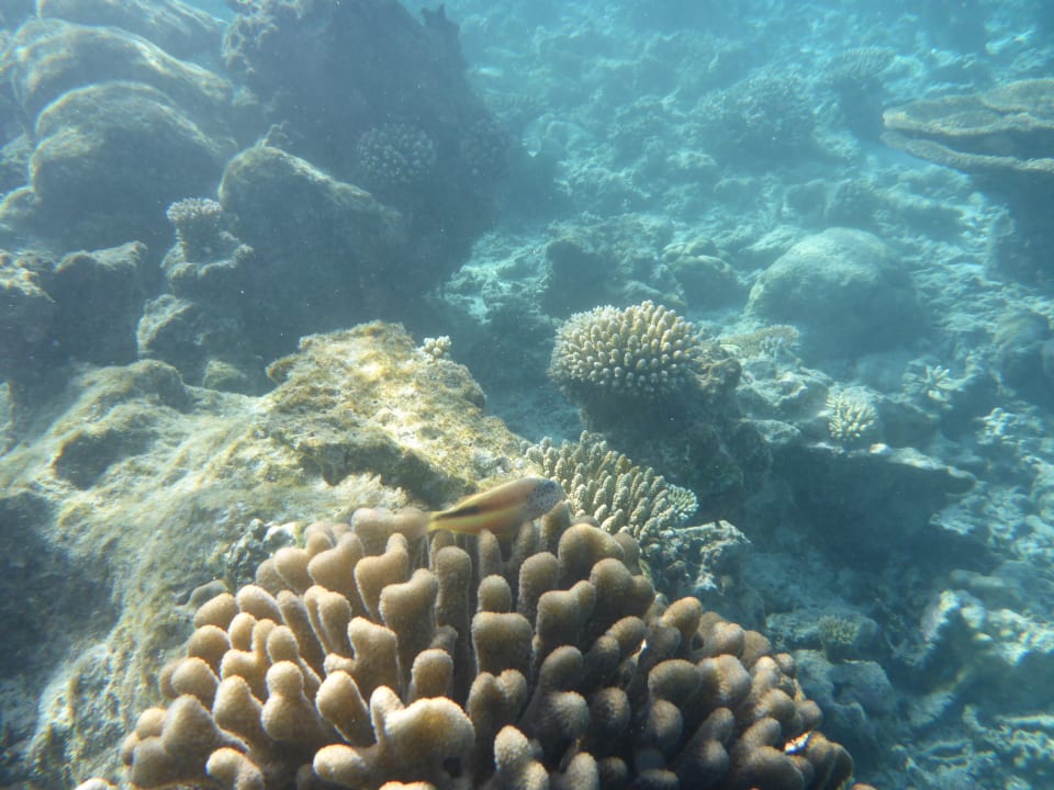 Sport & Freizeit NH Collection Maldives Havodda Resort