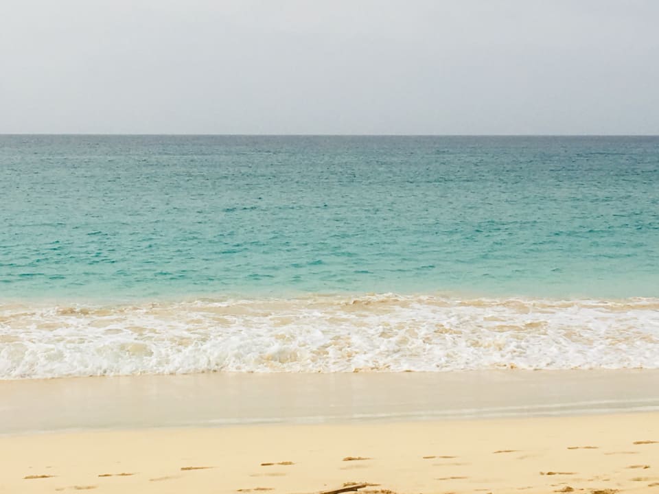 Strand Oasis Salinas Sea