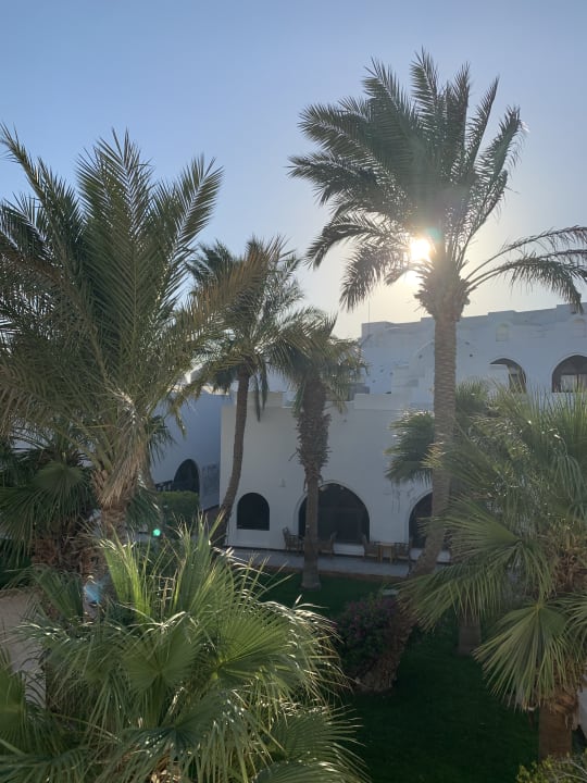 Gartenanlage Arabella Azur Resort