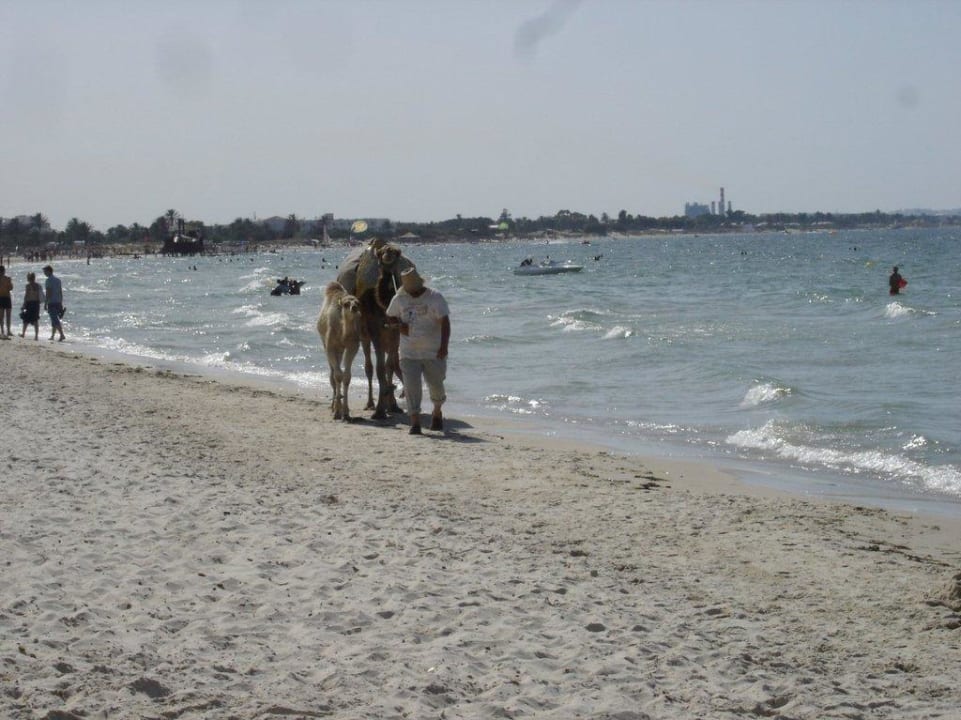 Strand Blick Richtung Sousse Ruspina Beach Resort