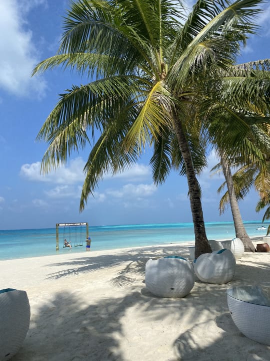 Gastro Meeru Maldives Resort Island