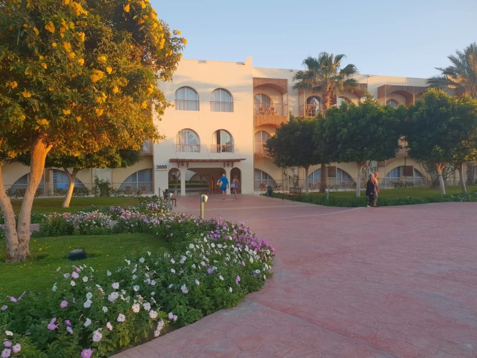 Außenansicht Desert Rose