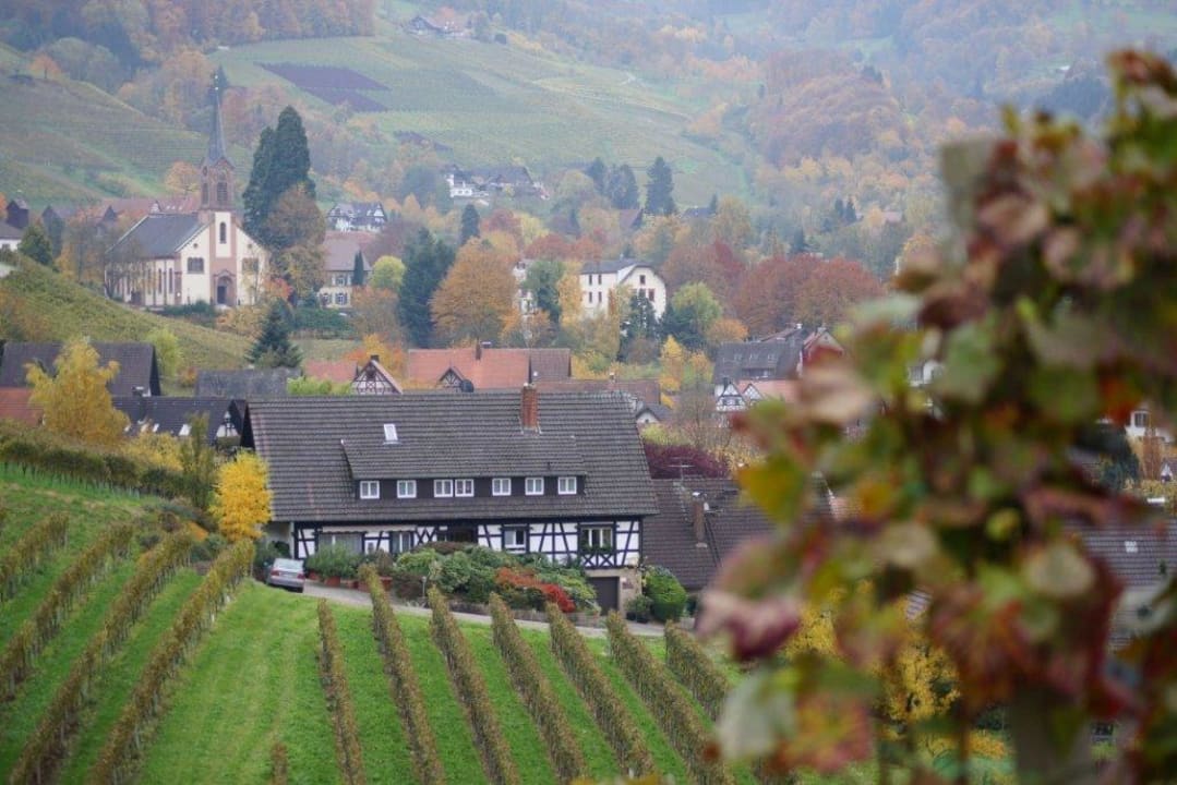 Hausansicht & Umgebung Pension am Weinberg