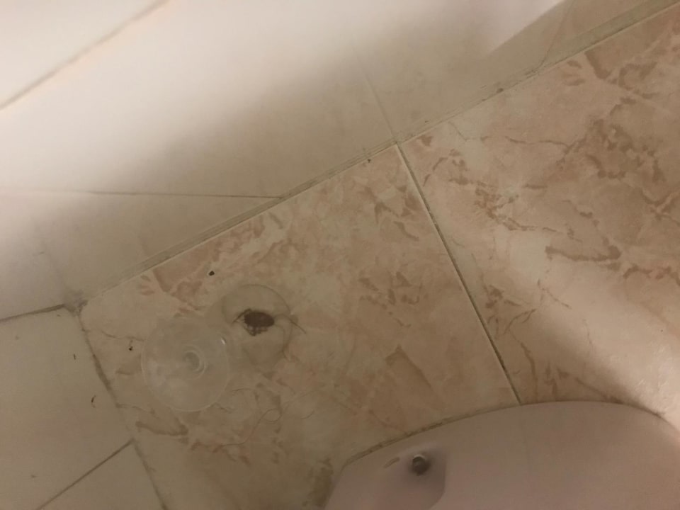 Zimmer Hotel Bella Playa & Spa