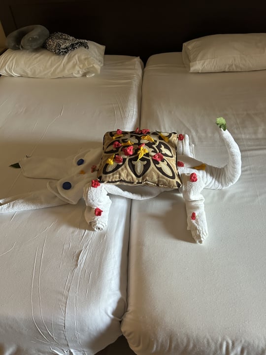 Zimmer Jaz Dar EL Madina