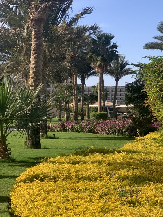 Gartenanlage Hilton Hurghada Plaza