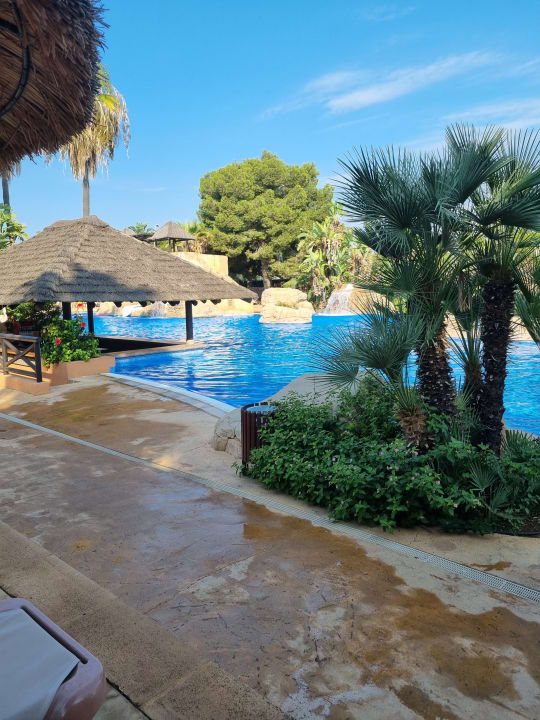 Pool Protur Safari Park Aparthotel