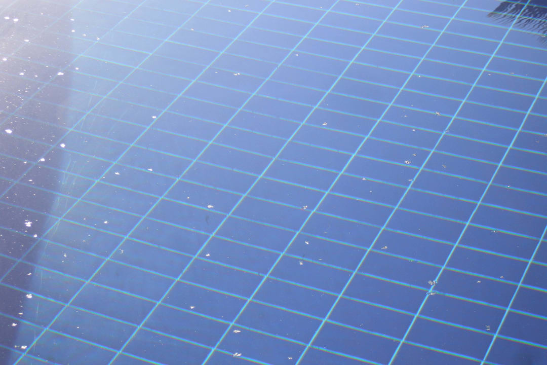 Alles voll fliegender ameisen Calimera Serra Palace