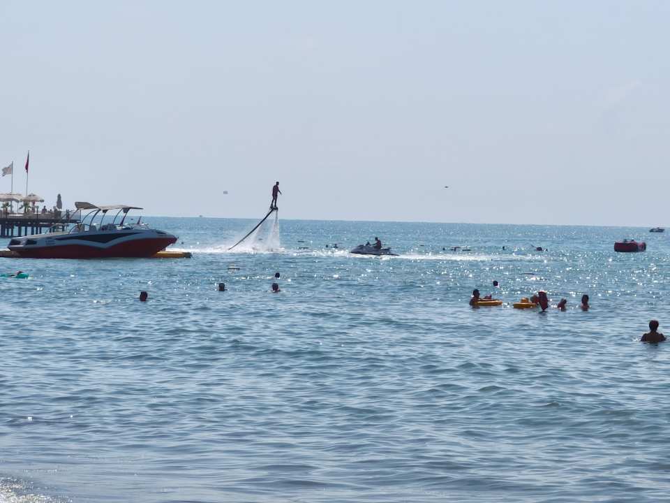 Strand Papillon Belvil