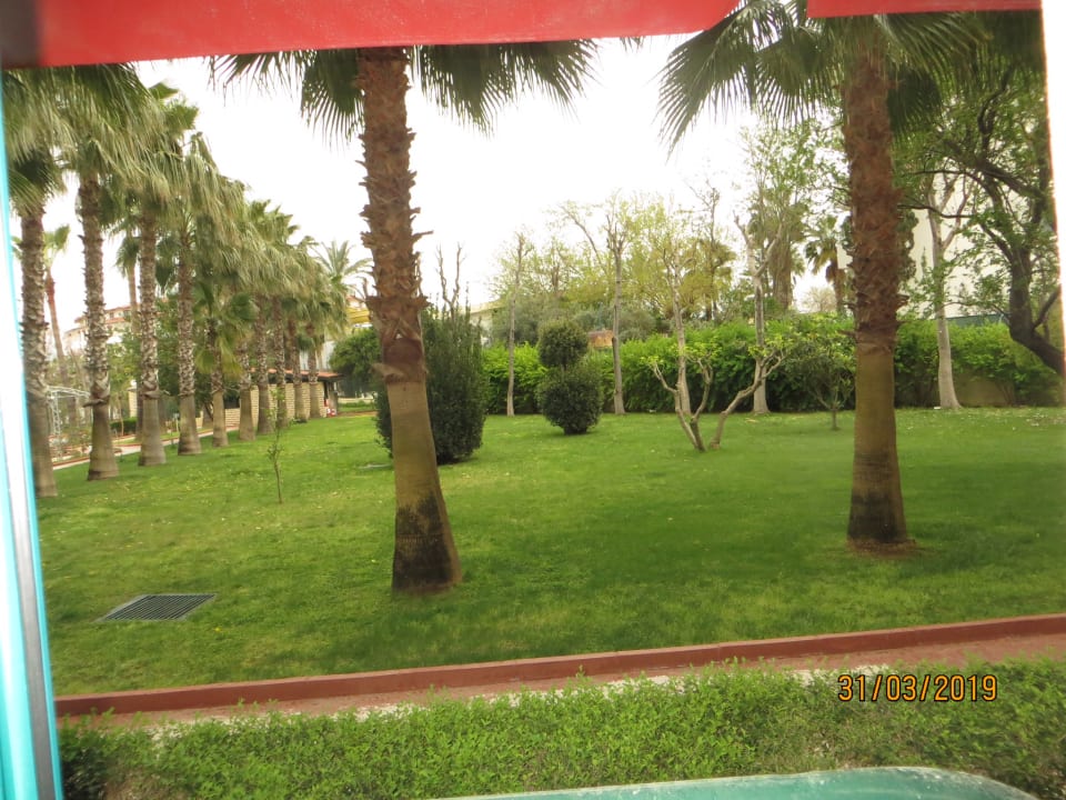 Gartenanlage Hotel Miramare Beach