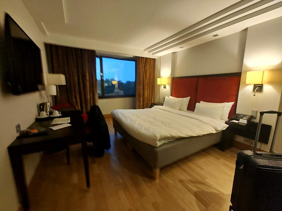 Zimmer Hotel Radisson Blu Elizabete