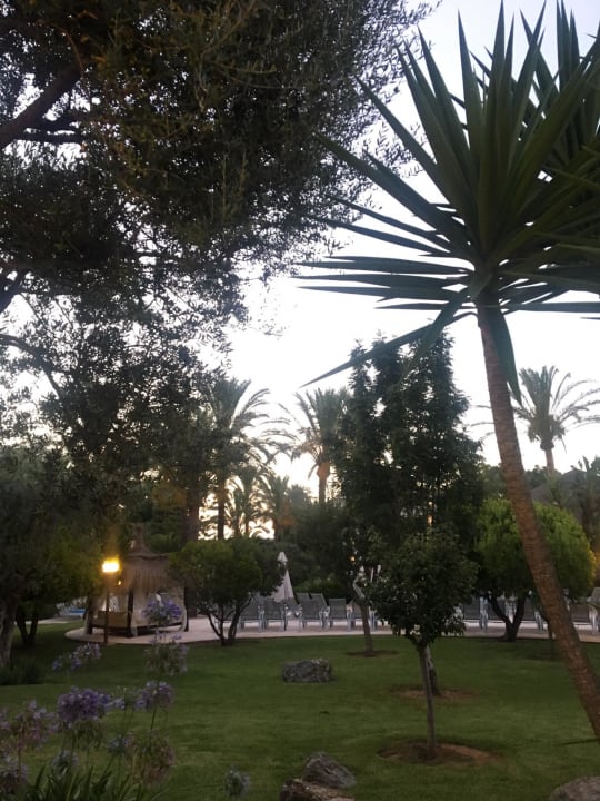 Garten Prinsotel La Dorada