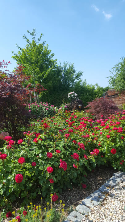 Gartenanlage Pension Hohaus