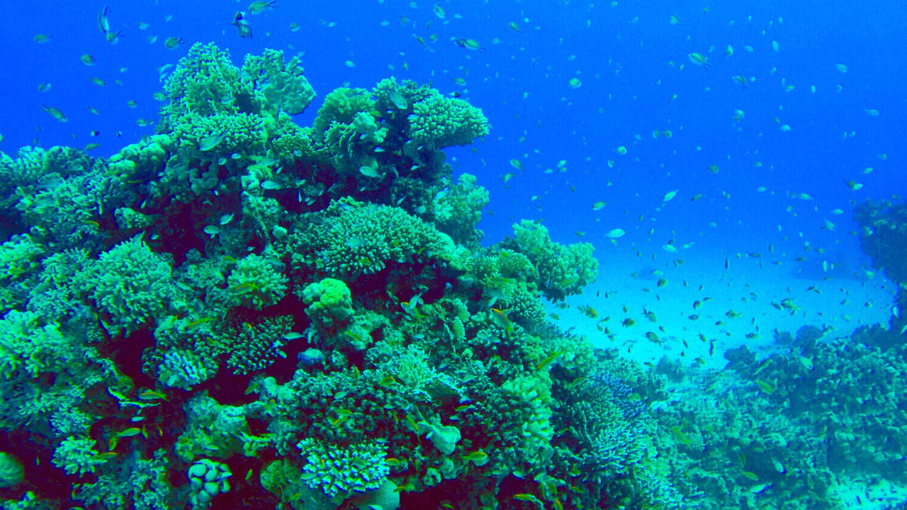 Sport & Freizeit ROBINSON SOMA BAY