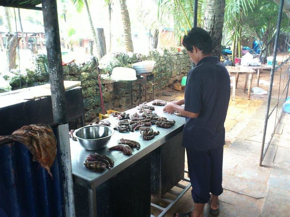 Küche Hotel Joet's Guest House