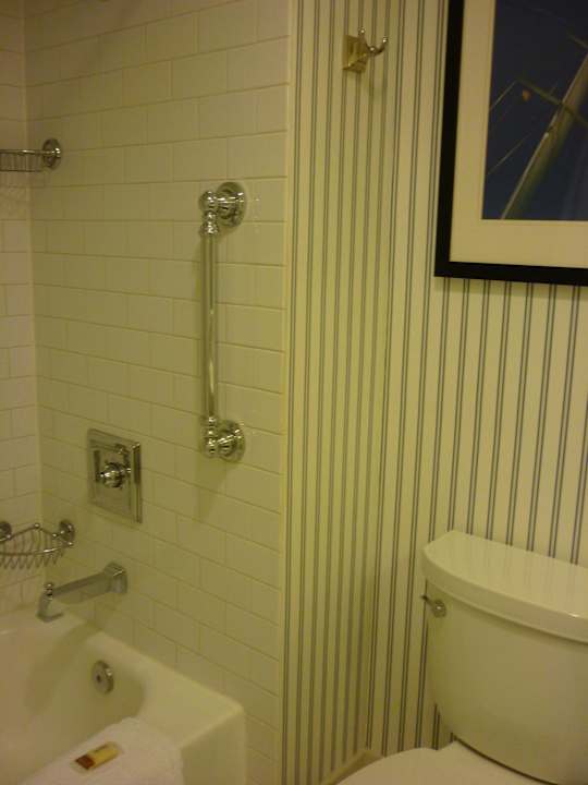 Bad Sheraton San Diego Hotel & Marina